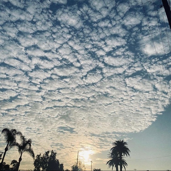 Meet your Posher, Jerrina - Picture 1 of 1